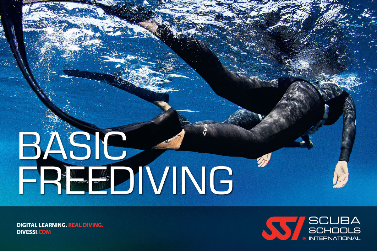 Basic Freediving