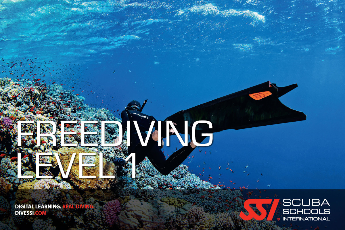 Freediving Level 1