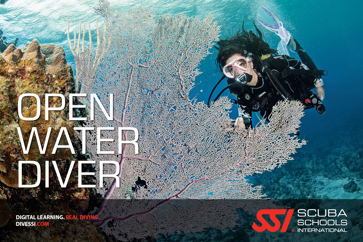 Open Water Dive